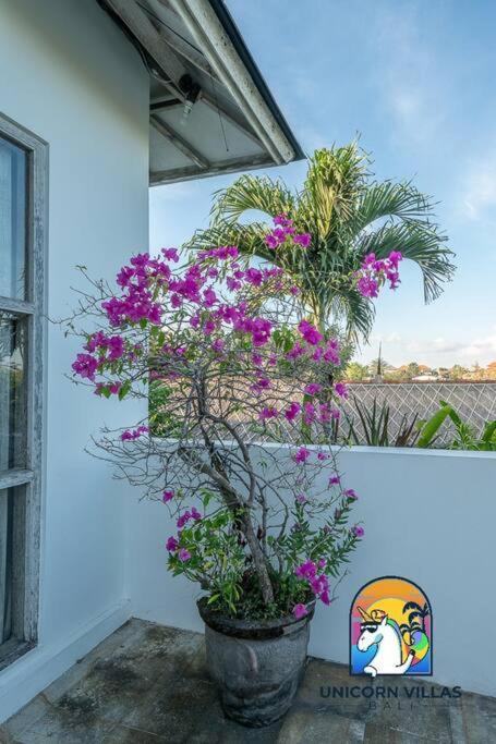 Villa Eva - By Unicorn Villas Bali Uluwatu Buitenkant foto